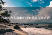 独家观点多角度剖析91黑料你怎么看？