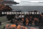 事件复盘暗网禁地关键数字曝光幕后花絮