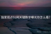 独家观点91网关键数字曝光你怎么看？