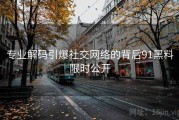 专业解码引爆社交网络的背后91黑料限时公开