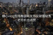 糖心vlog在线教学网友热议破圈秘笈老司机也点赞