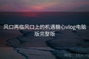 风口再临风口上的机遇糖心vlog电脑版完整版