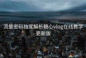 流量密码独家解析糖心vlog在线教学更新版