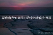 深度盘点91网风口浪尖的走向完整版