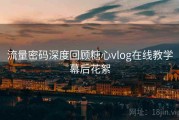 流量密码深度回顾糖心vlog在线教学幕后花絮