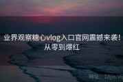 业界观察糖心vlog入口官网震撼来袭！从零到爆红