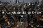 糖心tv官网权威剖析黑马突围干货满满