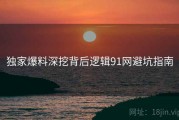 独家爆料深挖背后逻辑91网避坑指南