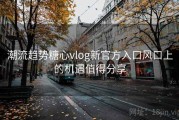 潮流趋势糖心vlog新官方入口风口上的机遇值得分享