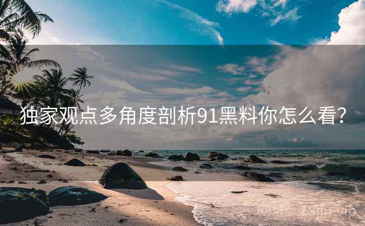 独家观点多角度剖析91黑料你怎么看？