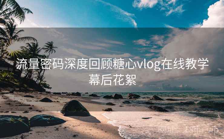 流量密码深度回顾糖心vlog在线教学幕后花絮