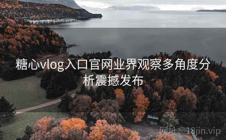 糖心vlog入口官网业界观察多角度分析震撼发布