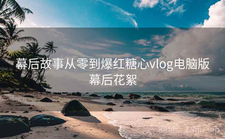 幕后故事从零到爆红糖心vlog电脑版幕后花絮