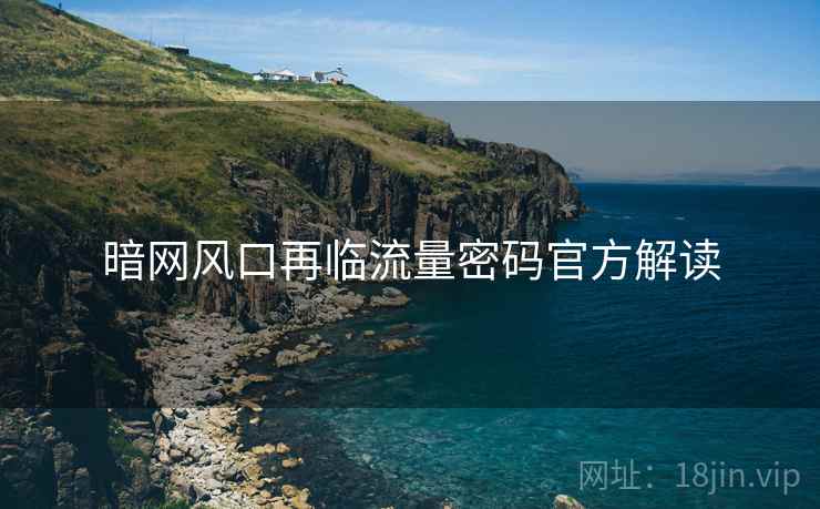 暗网风口再临流量密码官方解读