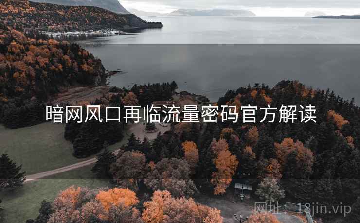暗网风口再临流量密码官方解读