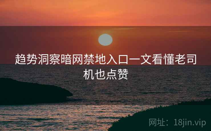 趋势洞察暗网禁地入口一文看懂老司机也点赞