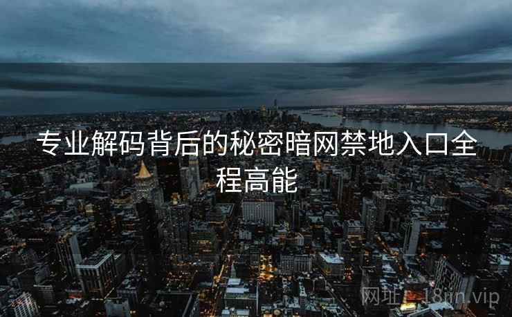 专业解码背后的秘密暗网禁地入口全程高能