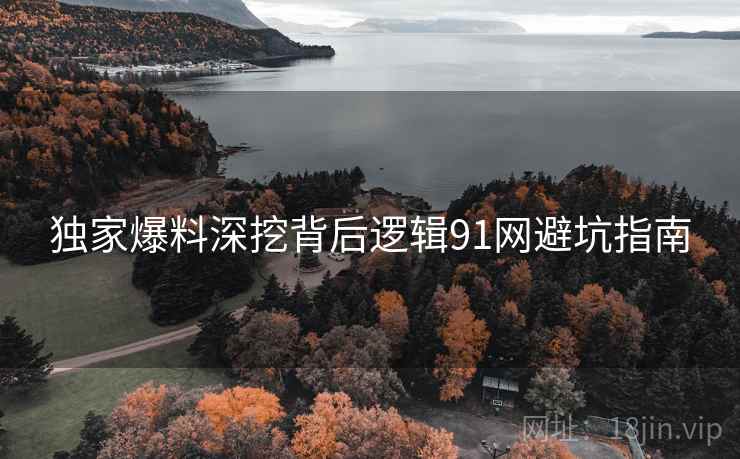 独家爆料深挖背后逻辑91网避坑指南