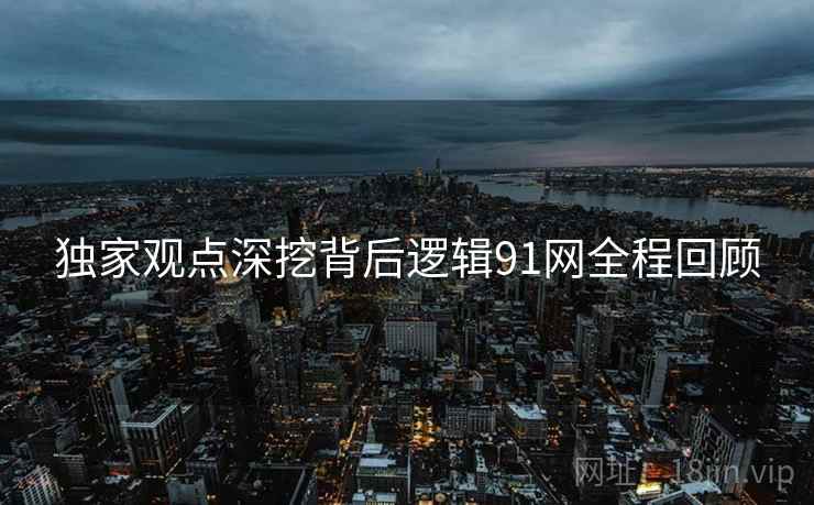 独家观点深挖背后逻辑91网全程回顾