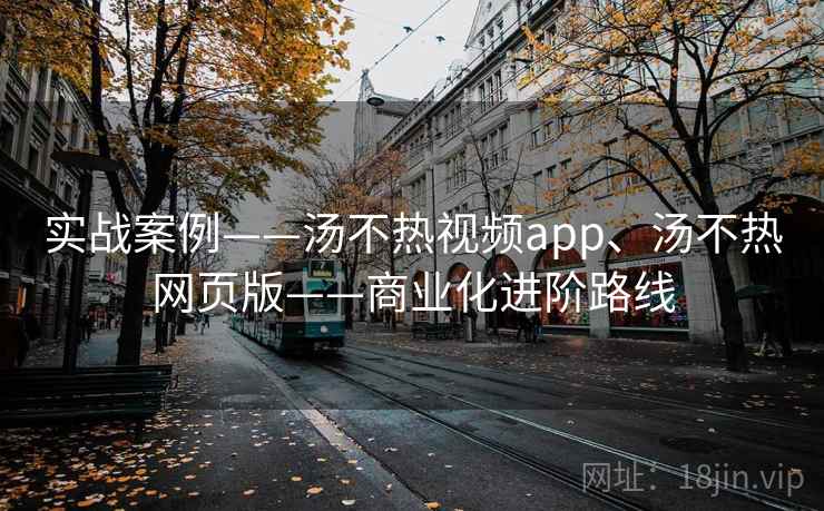实战案例——汤不热视频app、汤不热网页版——商业化进阶路线