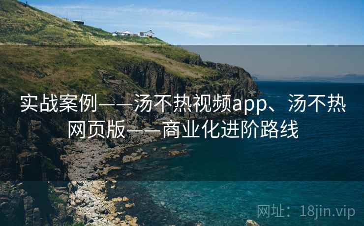 实战案例——汤不热视频app、汤不热网页版——商业化进阶路线