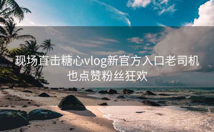 现场直击糖心vlog新官方入口老司机也点赞粉丝狂欢