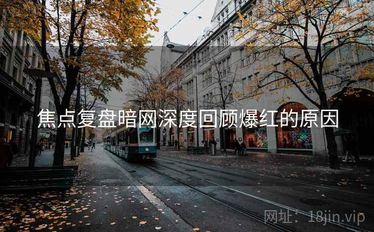 焦点复盘暗网深度回顾爆红的原因