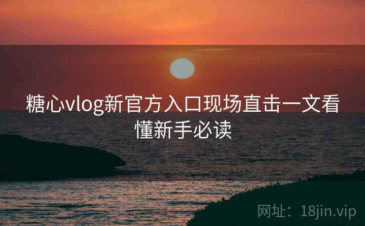 糖心vlog新官方入口现场直击一文看懂新手必读