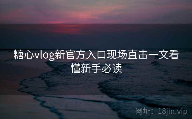 糖心vlog新官方入口现场直击一文看懂新手必读
